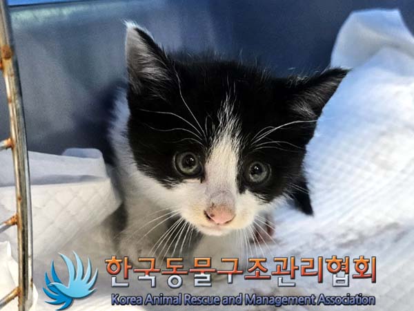 종료(자연사) 한국…
